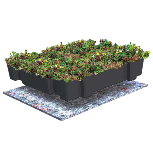 Sedum cassettes lichtgewicht