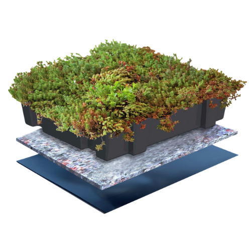 traditionele sedum cassettes